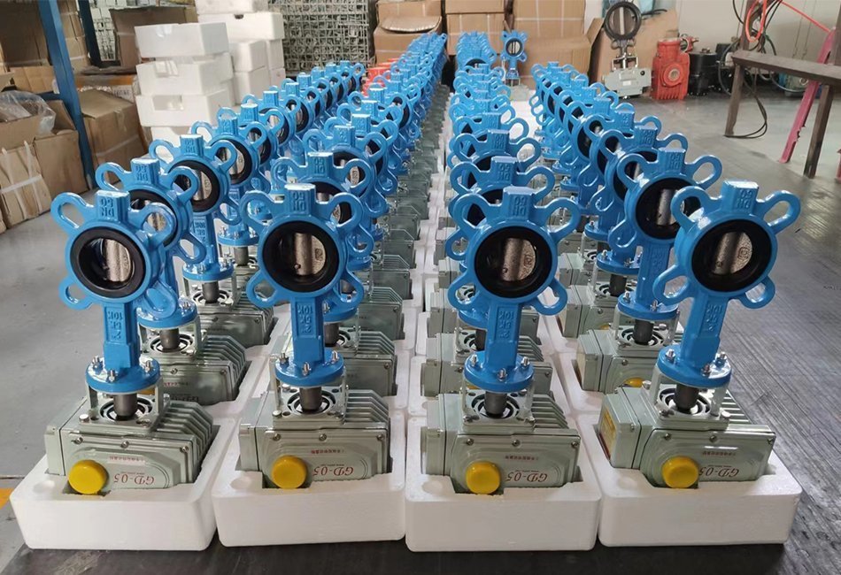Butterfly Valve