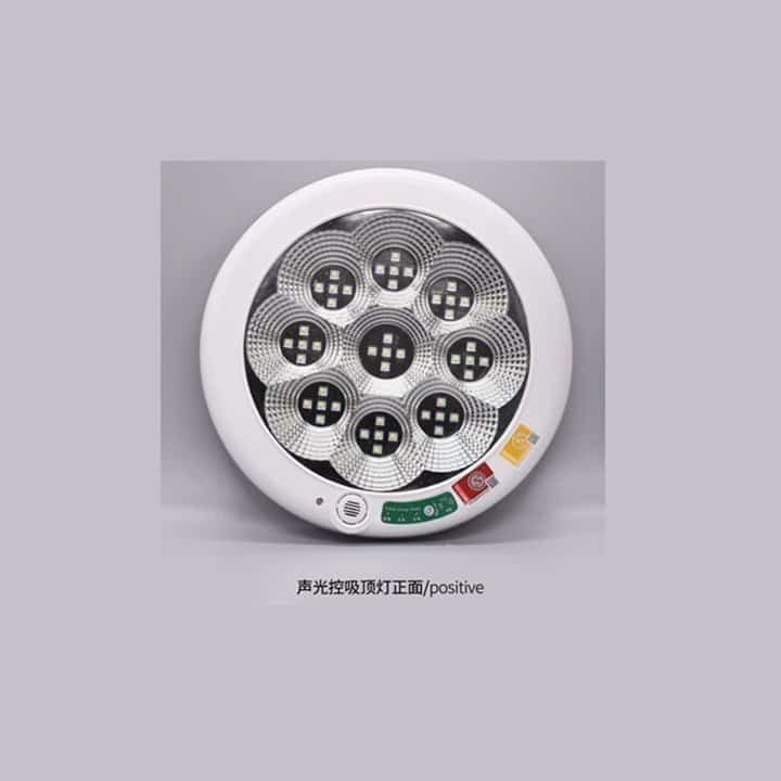 1 Motion Sensor Ceiling Light supplied by Dongweiyuanyu